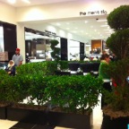 EVENTS - Bloomingdale's, Special Event, 3 (and a half)' Privet Hedging and Spiral Topiaries